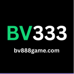 BV333 game official logo