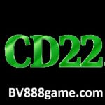 CD22 Game Logo